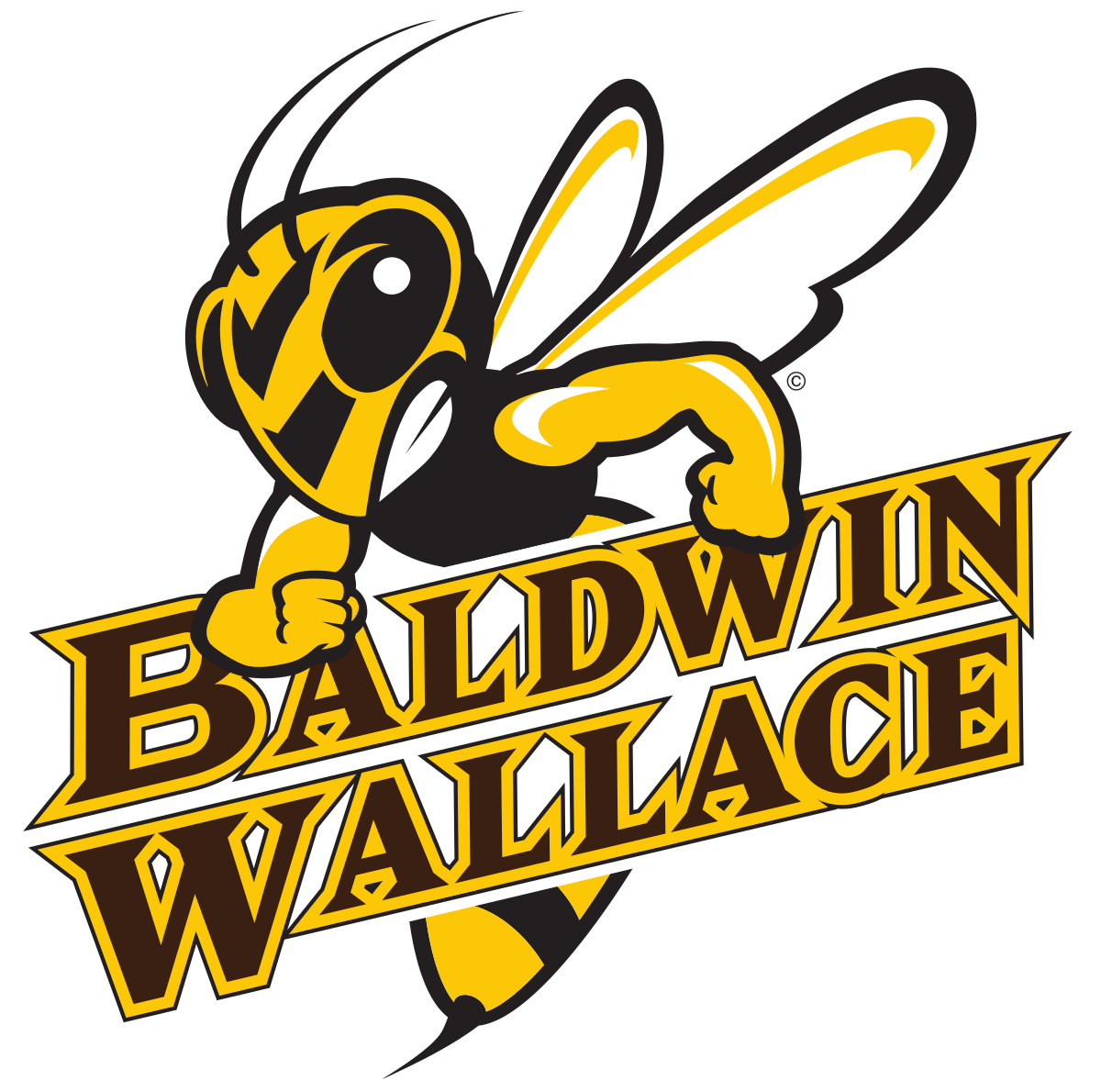 Baldwin Wallace Yellow Jackets logo.svg